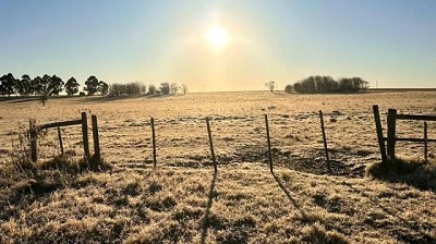 Mercado de compra venta de campos en el país muestra estabilidad en los valores