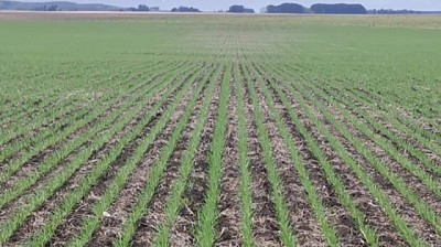 Productores más confiados: sube 17,5% la importación de Fertilizantes en 2025