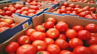 Argentina actualizó su reglamento sobre calidad e identidad del tomate en línea con el Mercosur
