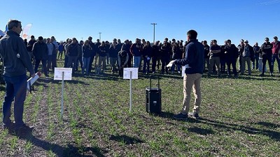 REM Aapresid alerta sobre crucíferas resistentes y estrategias de manejo integrado