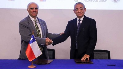 Granja Demostrativa Chile–China: alianza histórica que impulsa la innovación agrícola y el intercambio cultural