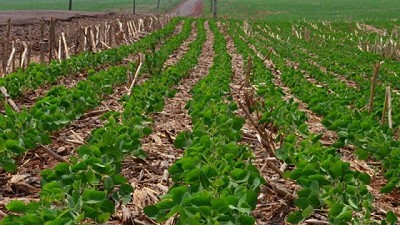 Seminario ACSOJA 2025: De una agricultura defensiva a una ofensiva