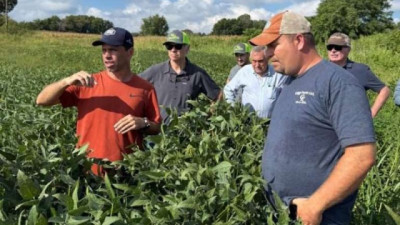 EE.UU. 540 M/Tn – Brasil 277 M/Tn – Argentina 107 M/Tn: ¿qué nos falta?