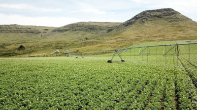 McCain Foods y Arcos Dorados, trabajando juntos hacia una Agricultura Regenerativa en Argentina