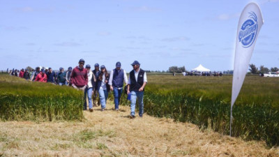 Con una inversión de USD 6 Mill, Quilmes presentó dos nuevas variedades de Cebada