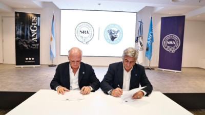 Ganadería 4.0: SRA y Angus integran sus sistemas para agilizar el registro de reproductores