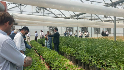 ASA 2025: avances normativos, Sembrá Evolución y desafíos para una industria más competitiva