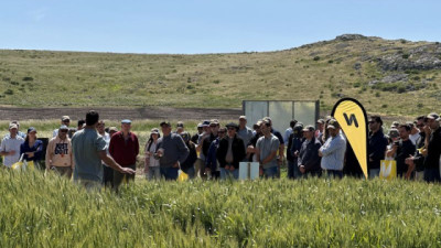 Nidera mostró en Tandil el potencial de su genética y las claves de manejo para maximizar rindes en trigo