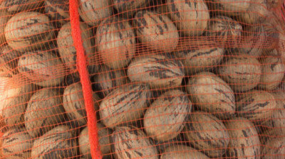 Se verificó la primera exportación de 20 toneladas de nuez pecán de Argentina a China