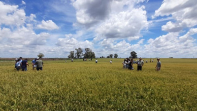  Día Mundial del Suelo: 