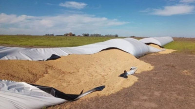 Vandalismo rural: CRA impulsa penas de hasta 5 años de prisión