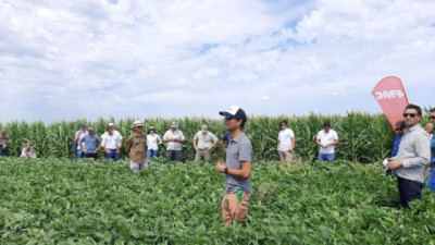 Combinación estratégica en soja para transformar sanidad en rendimiento