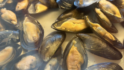 De la playa a la mesa: Claves para la prevención de intoxicaciones por marea roja