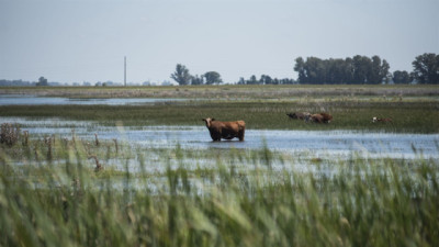 Emergencia agropecuaria: Nación giró más de $1.793 Mill. a municipios bonaerenses afectados por inundaciones
