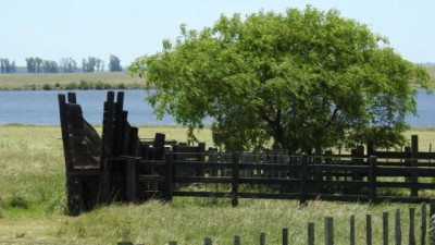 Campos: Mercado estable y dinámico, con valores firmes