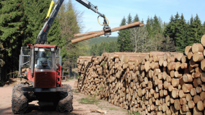 El NEA hacia una agenda de crecimiento: menos impulso público, más competencia real