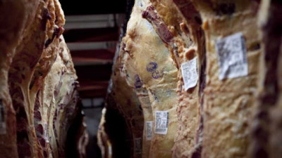 En 2025 se faenaron 13,58 millones de bovinos