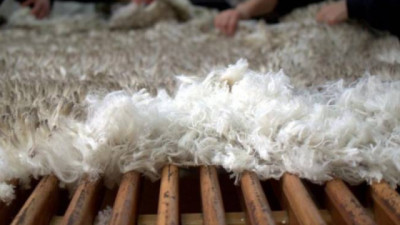 Nueva categoría facilita exportación de lana sucia desde establecimientos rurales