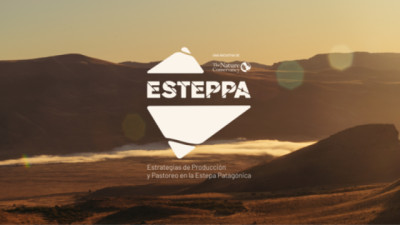 Cómo es el programa que puede convertir a la Patagonia en un territorio clave para revertir el cambio climático