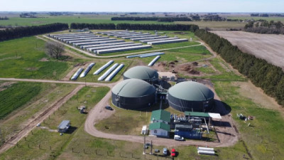 Biogás porcino: energía limpia que reduce miles de toneladas de CO₂