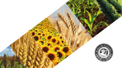 Campaña 2025/26: sube el Girasol, cae el Maíz y la Soja atraviesa su período crítico