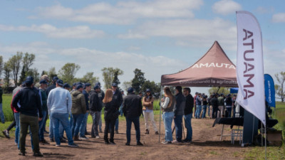 Amauta cumple 10 años: una década de nutrición pensada para producir mejor