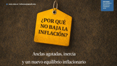 ¿Por qué no baja la inflación?