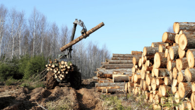Los desafíos de la Forestoindustria: Del mercado interno a la escala global