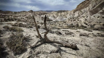 Combinar restauración ecológica y agricultura resiliente al clima, solución contra la desertificación