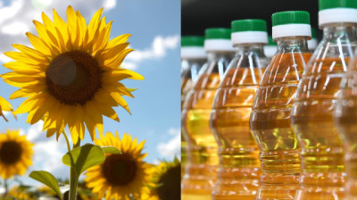 Argentina se posiciona como líder en la producción agroindustrial