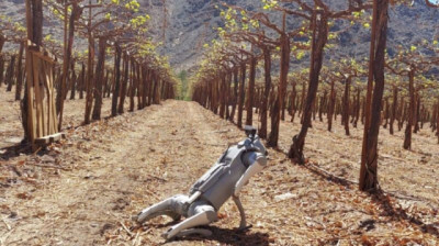 Robots agrícolas impulsan revolución en el campo: el 