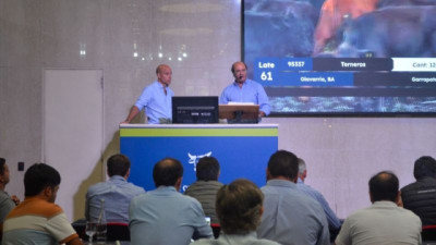 Histórico para la ganadería argentina: en el remate de Rosgan se pagó cuatro dólares el ternero