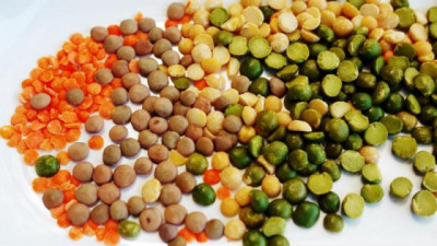 El año dorado de las Legumbres: récord de producción y exportaciones por más de USD 400  Mill.