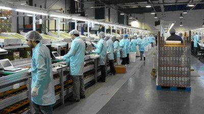 La cabeza del empresario argentino piensa en pagar impuestos, no en competir