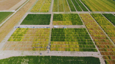 La RECSO avanza hacia una red regional de evaluación de Soja