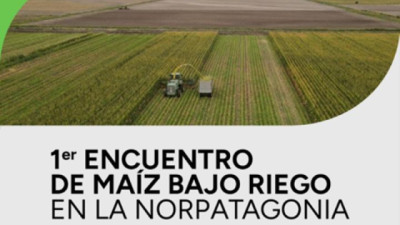 Primer Encuentro de Maíz bajo Riego en la Norpatagonia