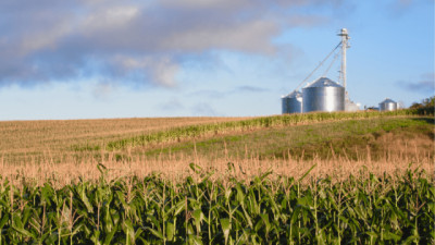 Producir a cielo abierto: ¿cuánto grano se cosechará esta campaña?