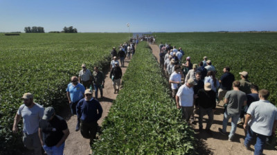 La nueva generación de soja ya está en el campo: lanzamientos 2026 de la marca líder en genética