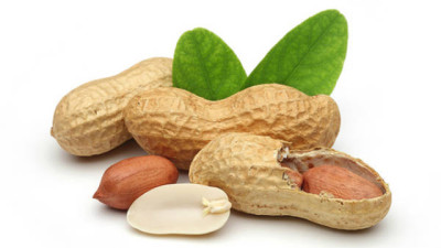 El futuro del maní argentino, industrialización y su valor agregado