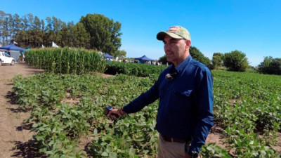 Estrés abiótico, el problema que pocos ven, pero todos sufren