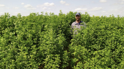 CONICET-UNL impulsan la innovación forrajera con el lanzamiento  de Munay y Yachay