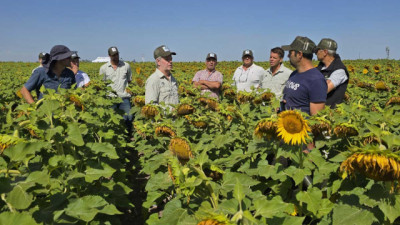Zeta Semillas celebra 20 años: genética propia, expansión internacional y apuesta fuerte al alto oleico