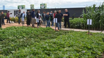 El INTA muestra innovación, genética y tecnología en Expoagro