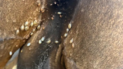 Federación Rural exige 