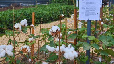 Arranca Expoagro y el INTA despliega su apuesta tecnológica