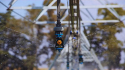 Riego: la estrategia que ordena la incertidumbre productiva