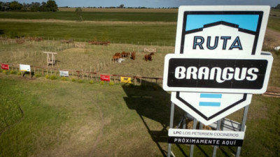 “Ruta Brangus”, el parador que buscará ser referente en carne de calidad y gastronomía