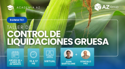 Taller Administrativo de Control de Liquidaciones de Granos 🌾