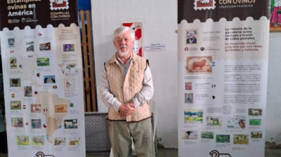 Anuncian plan para repoblar de Ovinos los campos