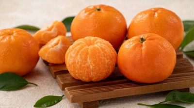 Argentina acelera la apertura del mercado de cítricos dulces en Estados Unidos